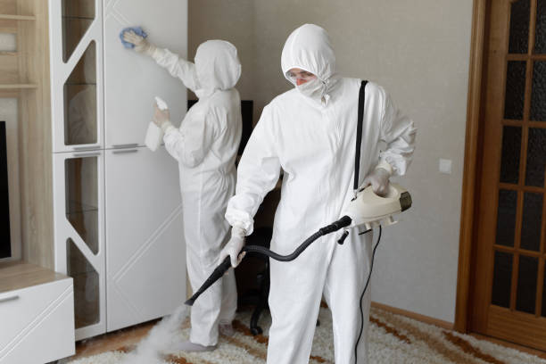 Mold Removal and Inspection in Clewiston, FL