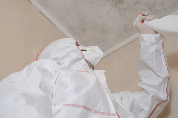 Best Residential Mold Removal  in Clewiston, FL